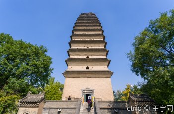 小雁塔(荐福寺)