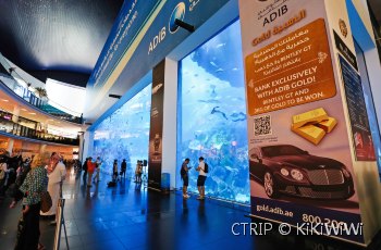 迪拜水族馆和水下动物园