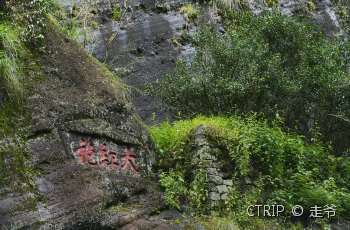 大红袍景区