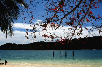 湿米岛