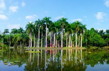中科院西双版纳热带植物园