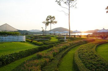 银湖葡萄园