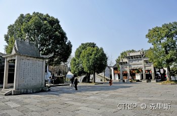 鲁镇