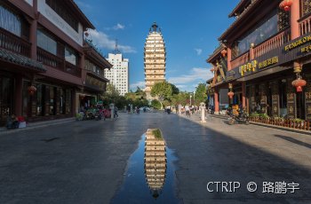 东西寺塔