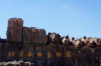 北方森林动物园