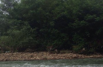 云河漂流