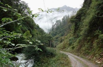 尼汝村