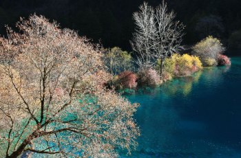火花海