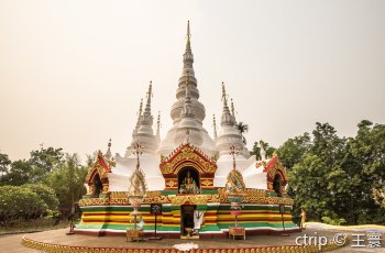 曼飞龙白塔