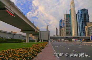 谢赫扎耶德路