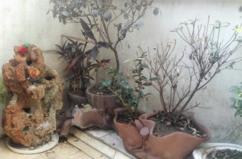 护城河