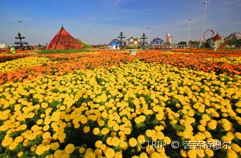 奇迹花园