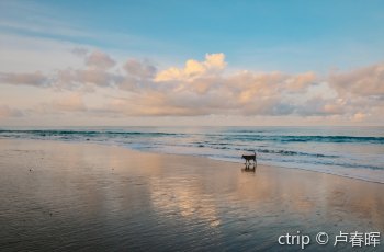 迈考海滩