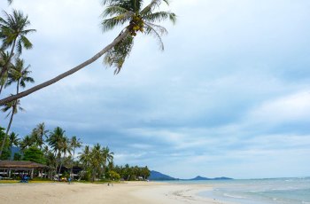 华路海滩