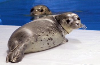 常州金鹰海洋世界