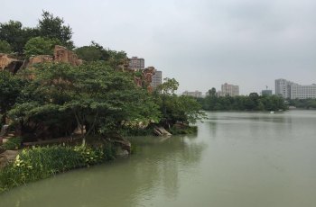 青枫公园