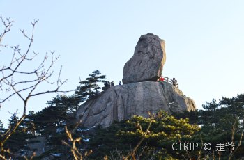 飞来石