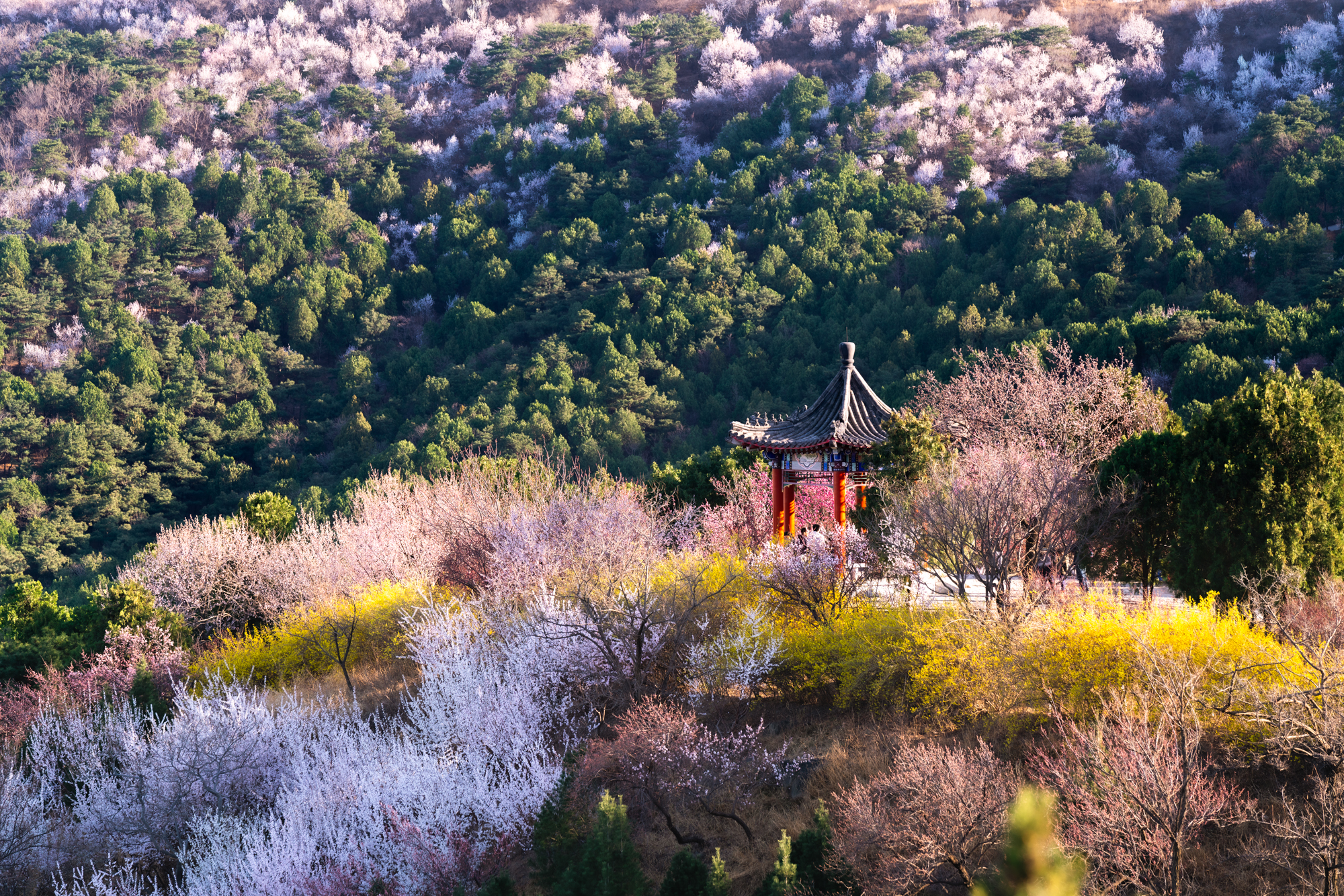 西山森林公园