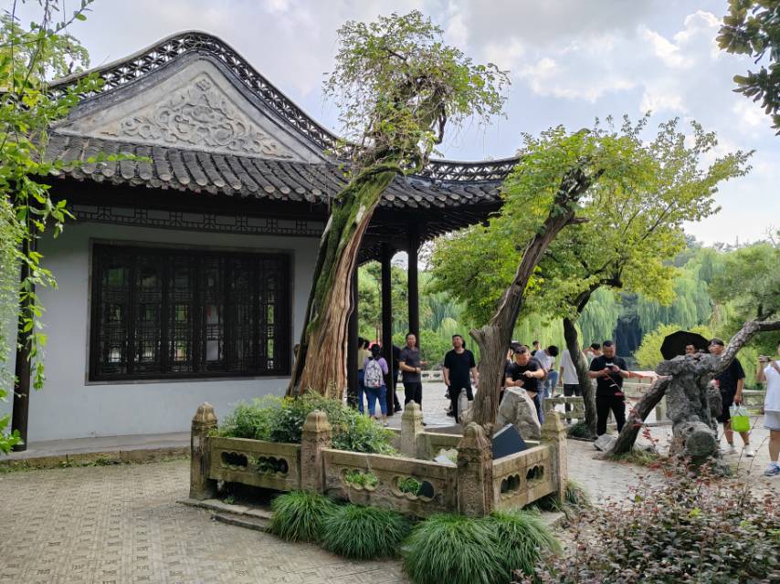 枯木逢春