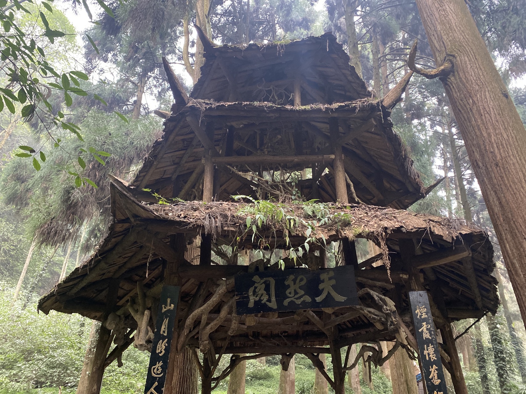 天然阁