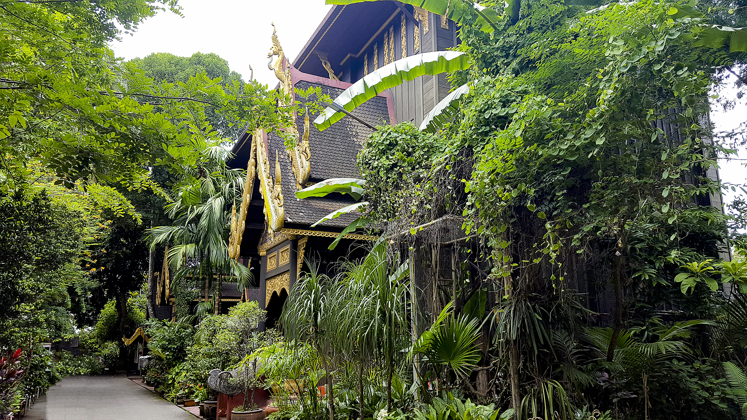 金沙寺