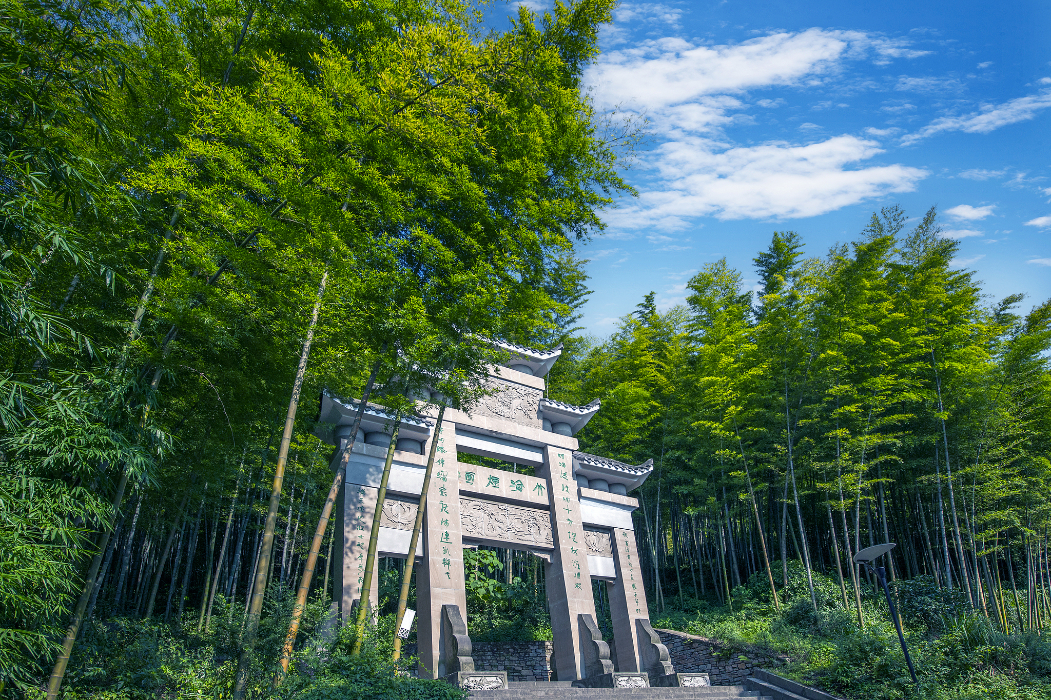 茶山竹海