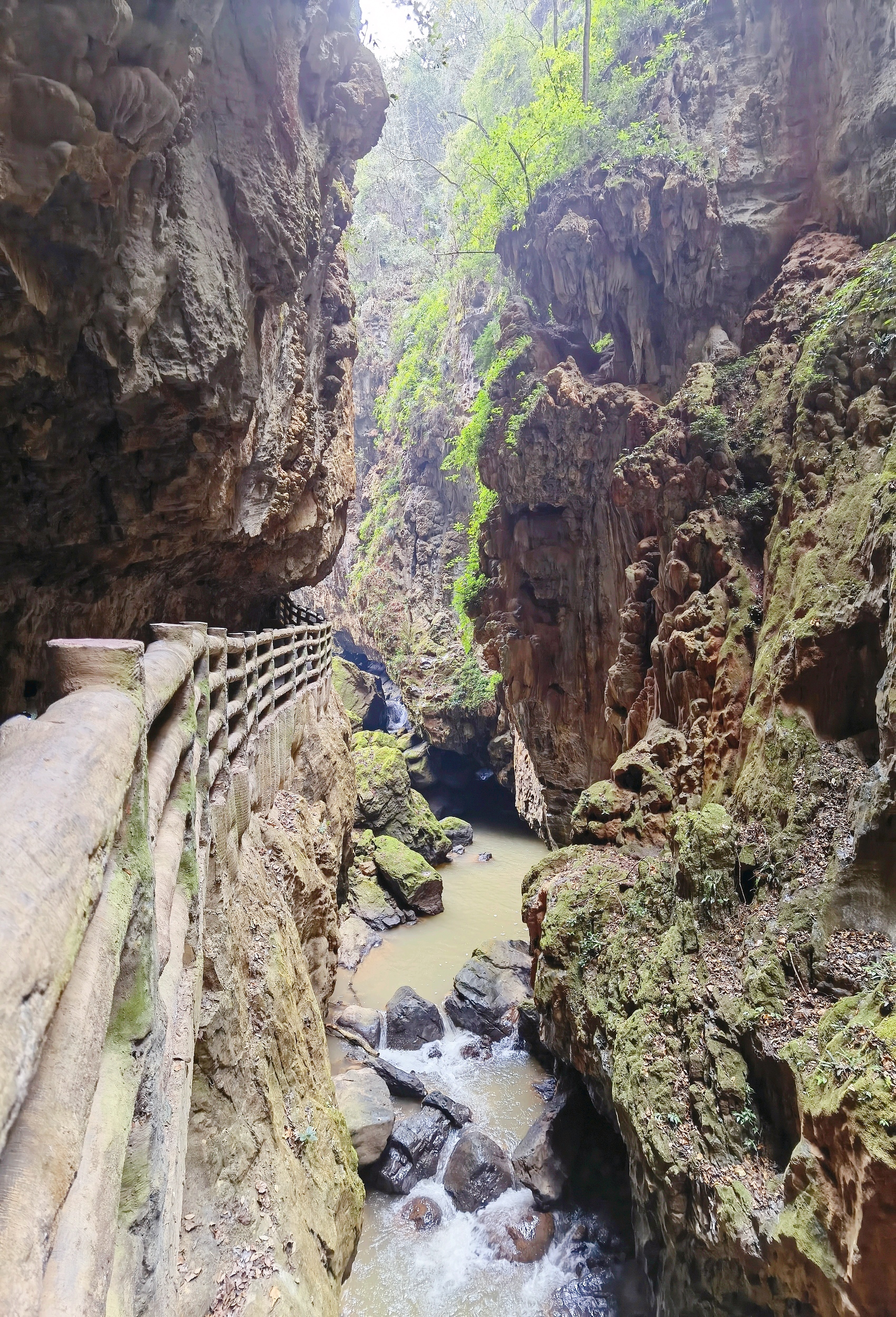 荫翠峡
