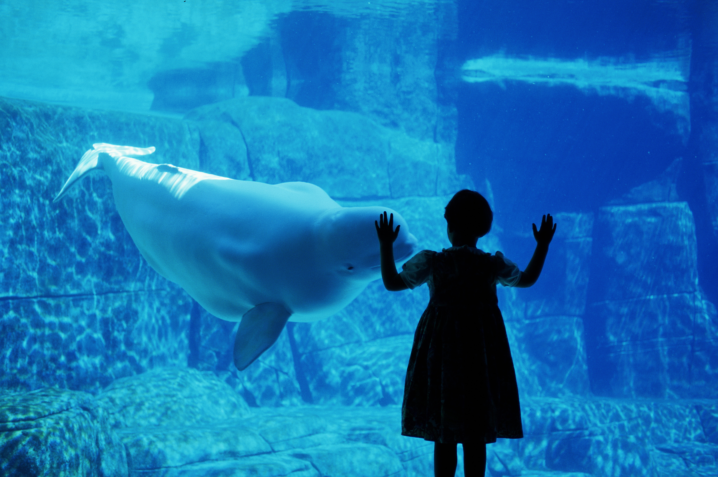 温哥华水族馆