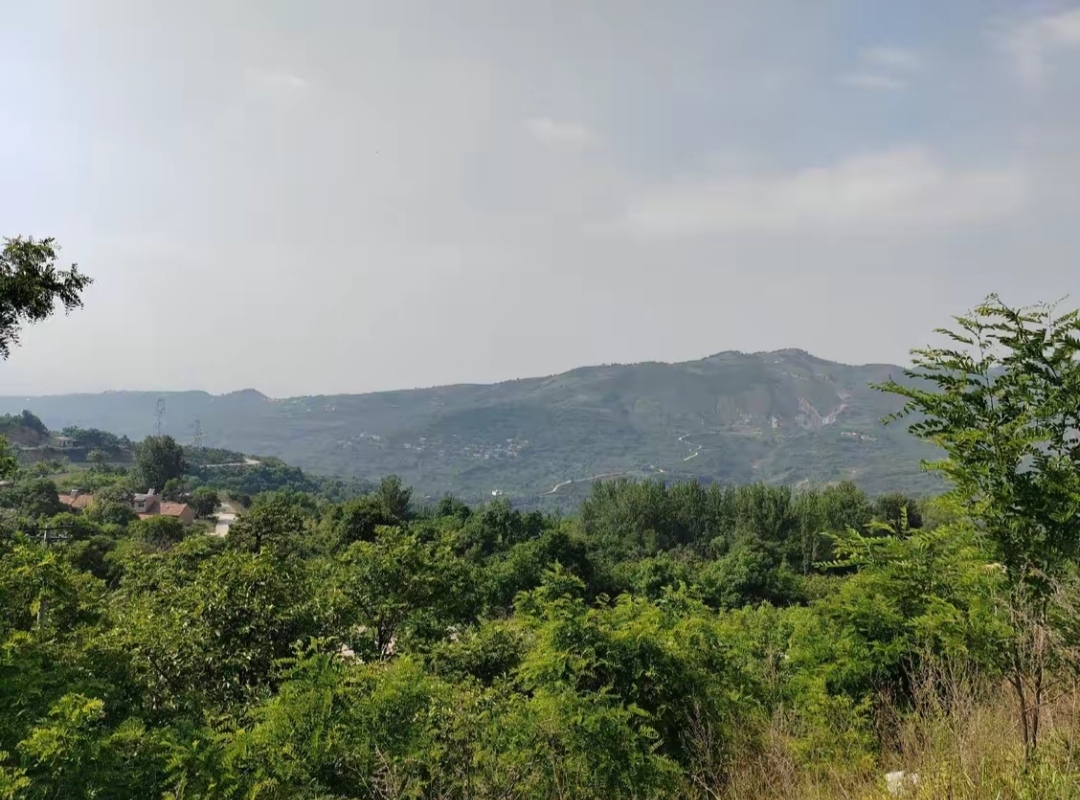 黄巢堡森林公园