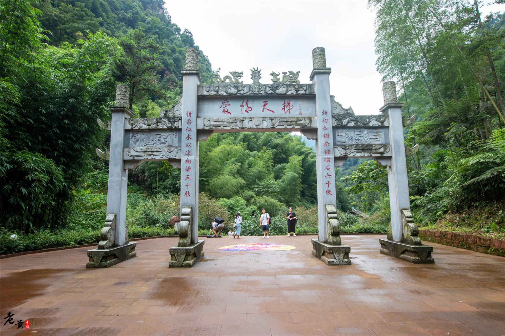 爱情天梯