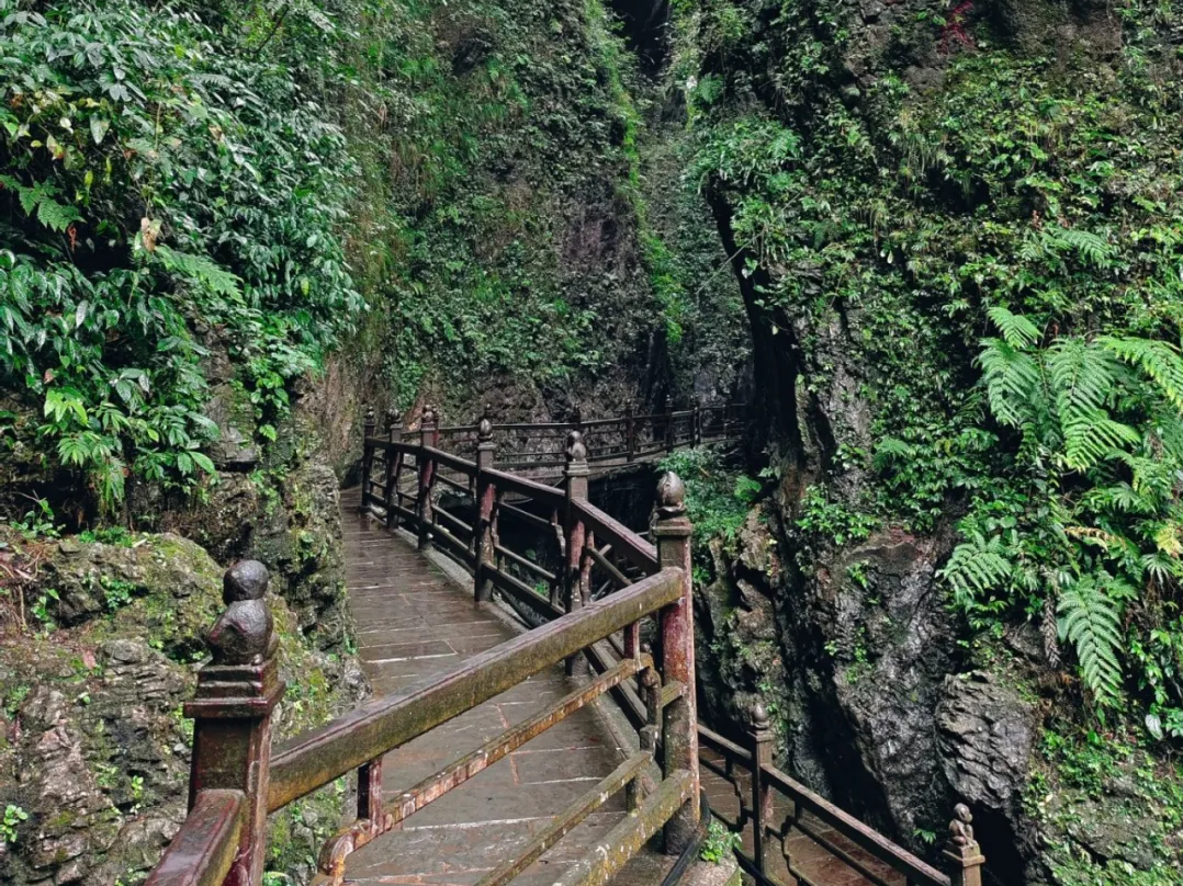 黑龙江栈道