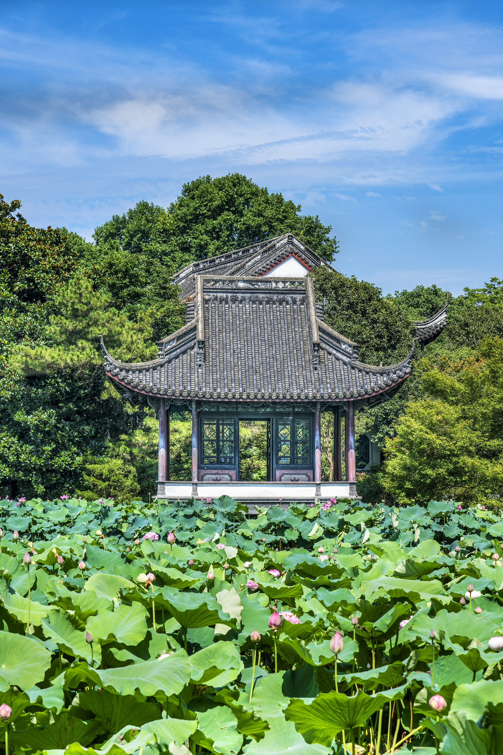 北街梦寻