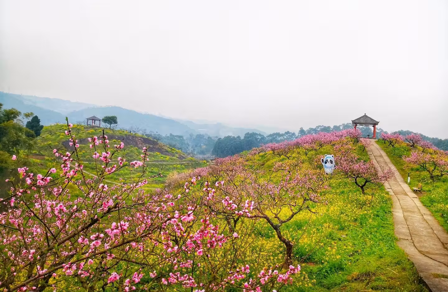 永川桃花源