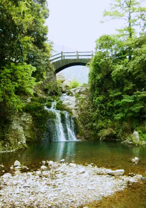 野鹤湫景区
