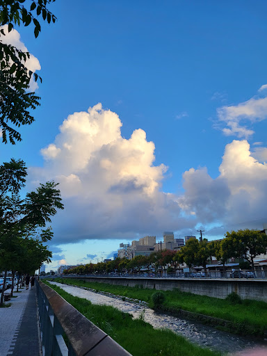 七脚川溪