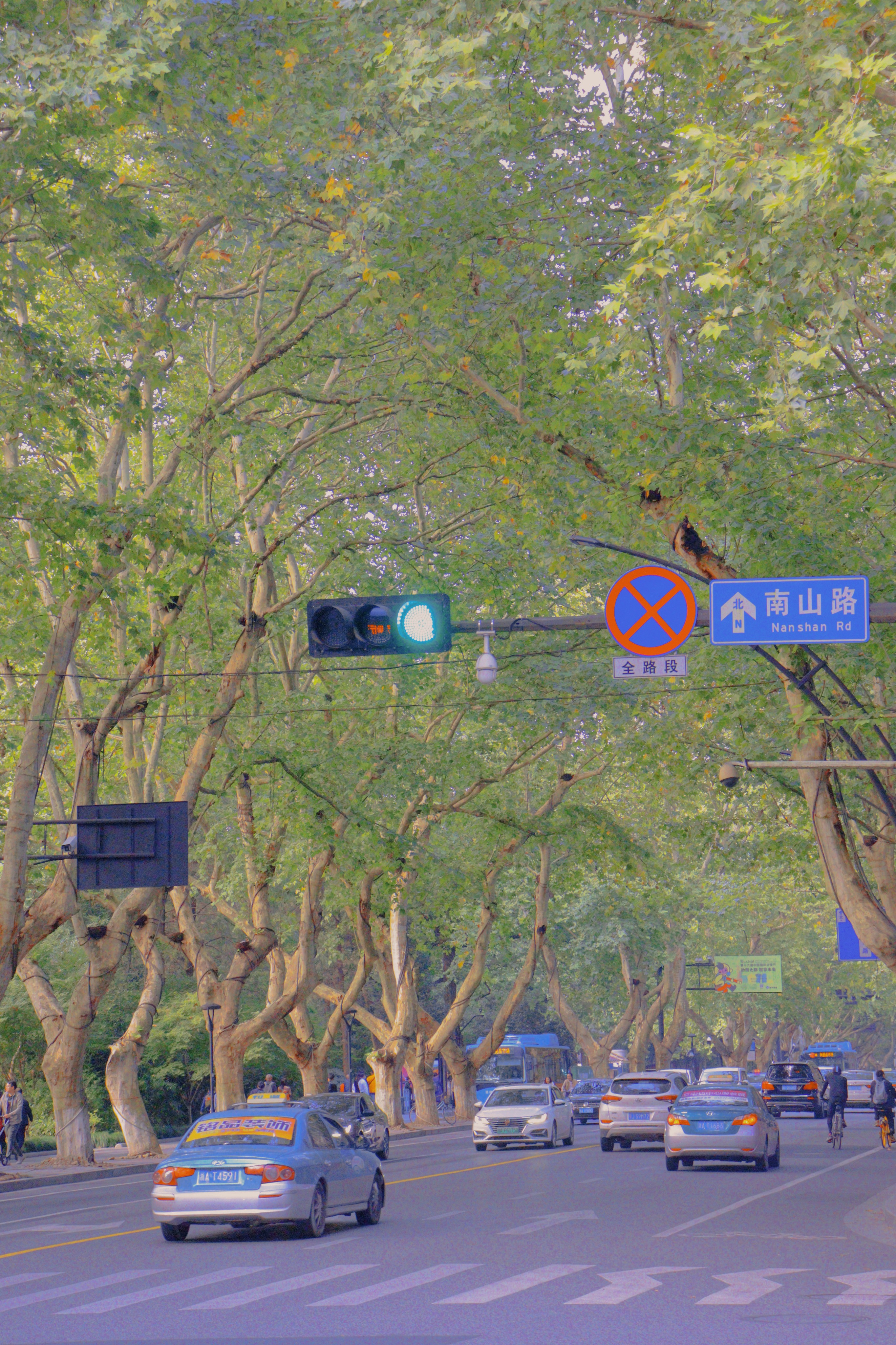 南山路