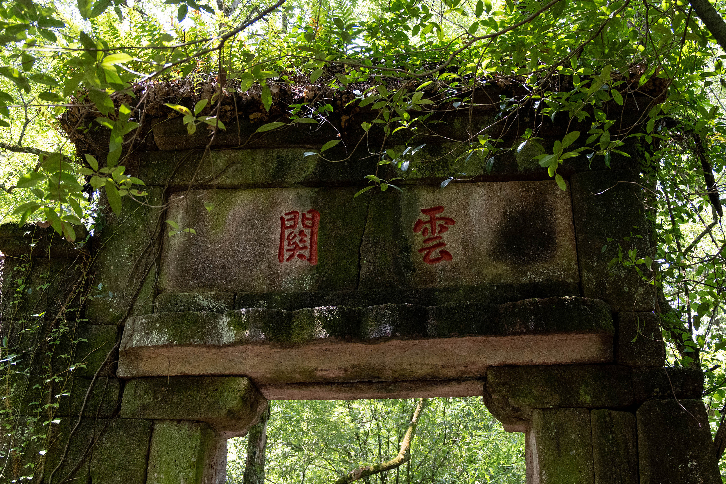 云窝