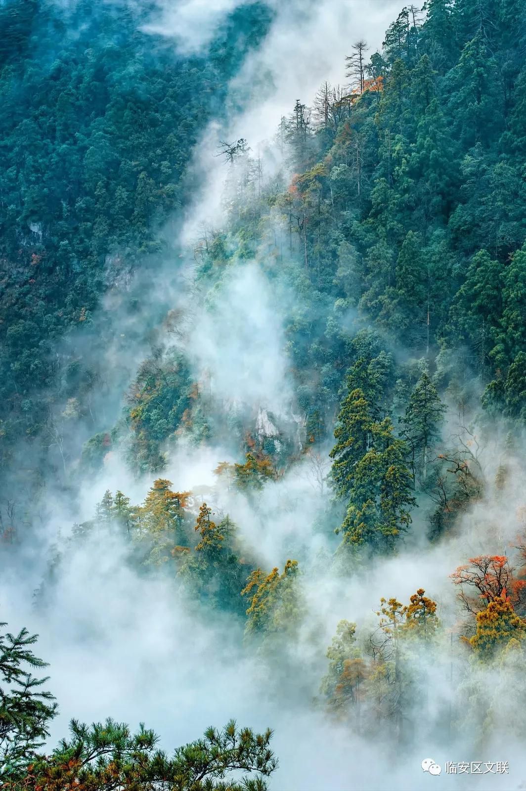 东瀑大峡谷