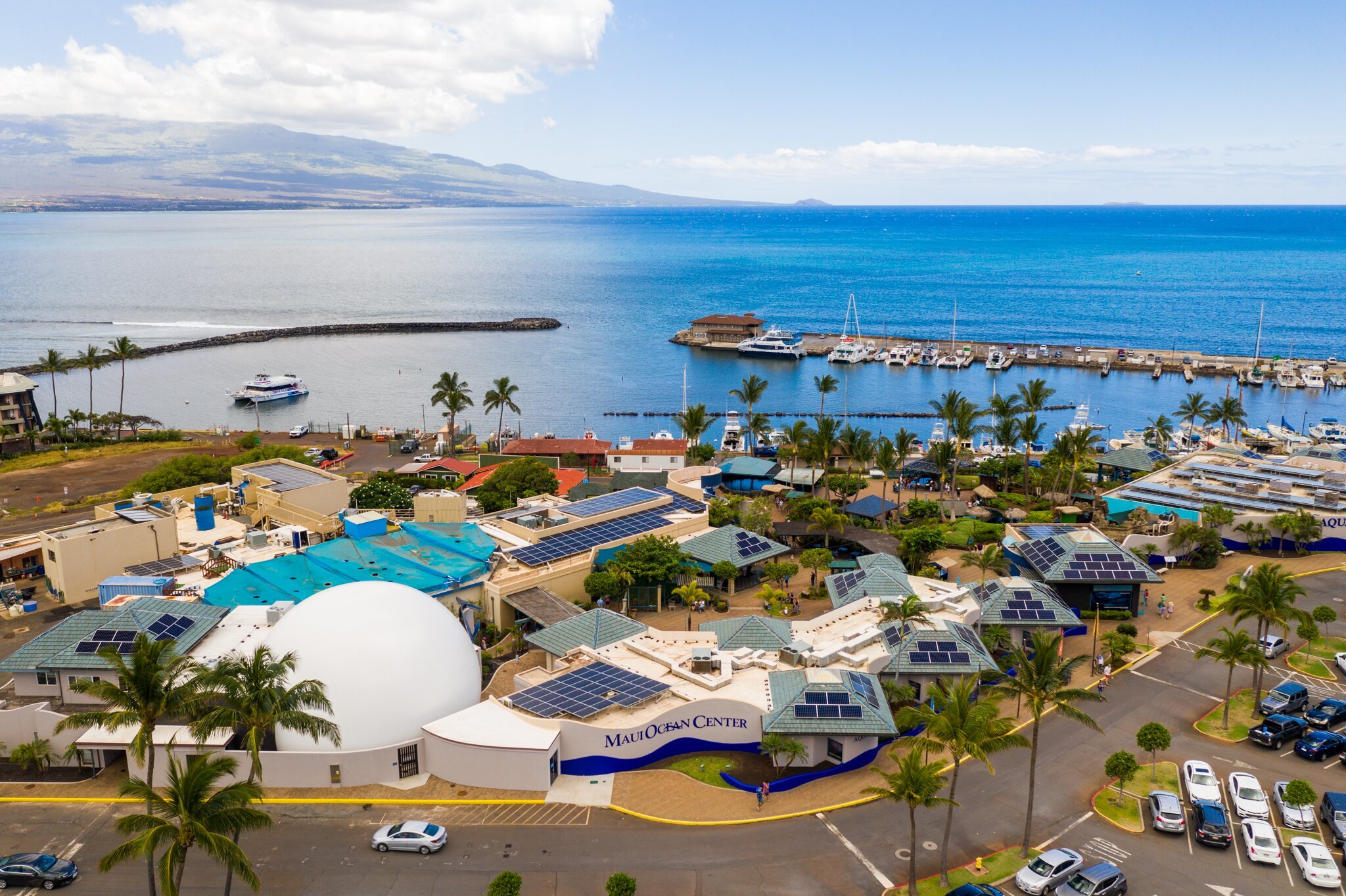 Maui Ocean Center水族馆