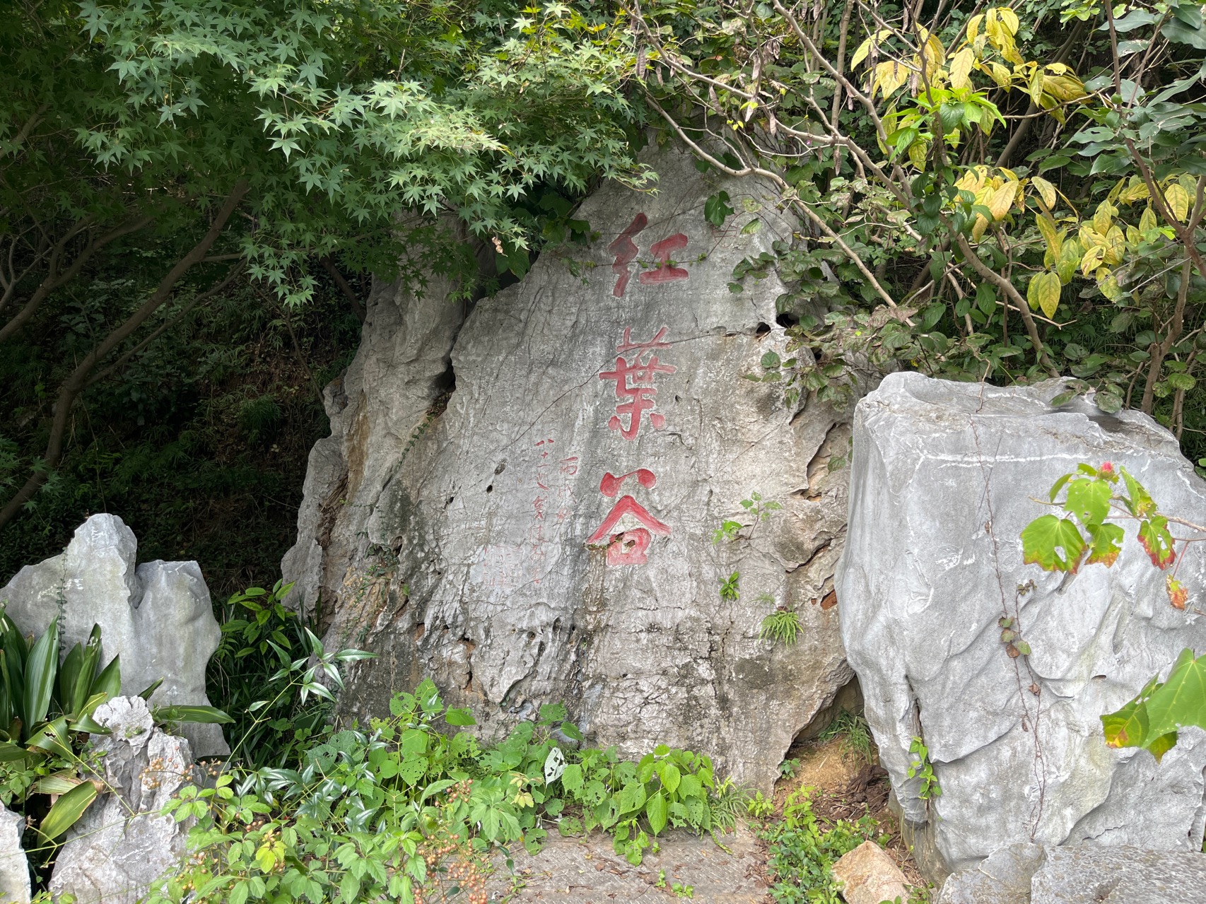 红叶谷