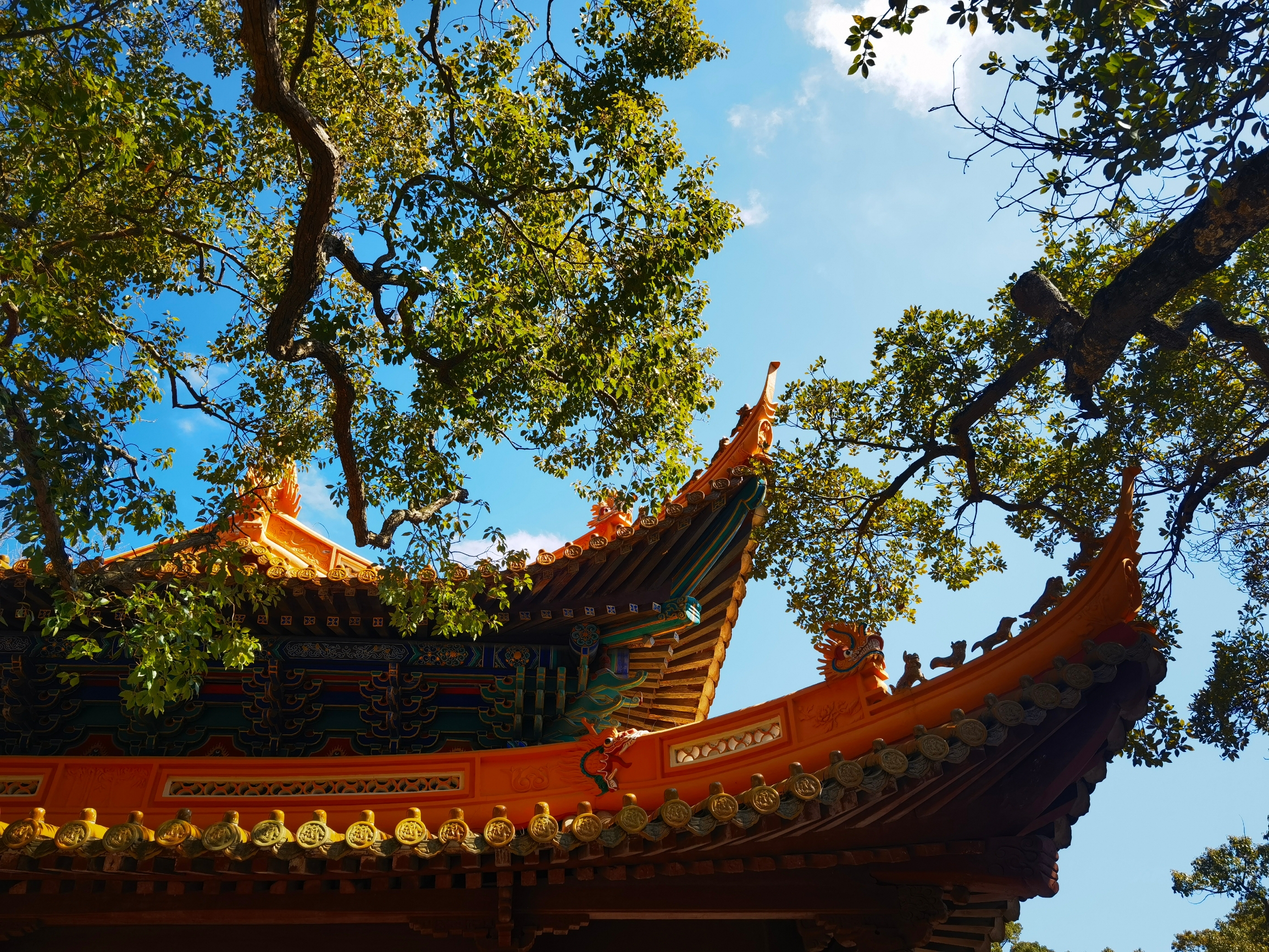 圆通禅院