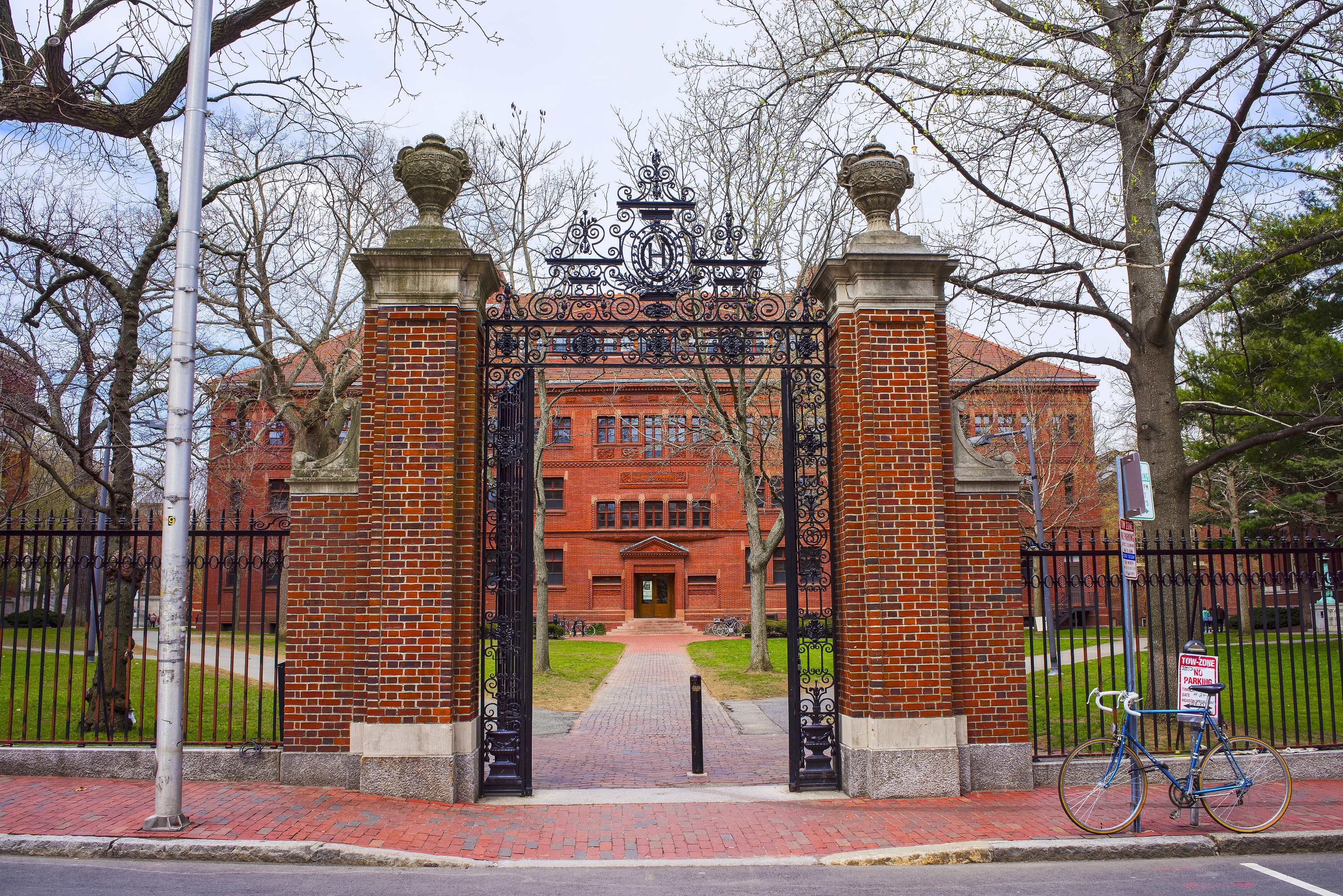 哈佛大学