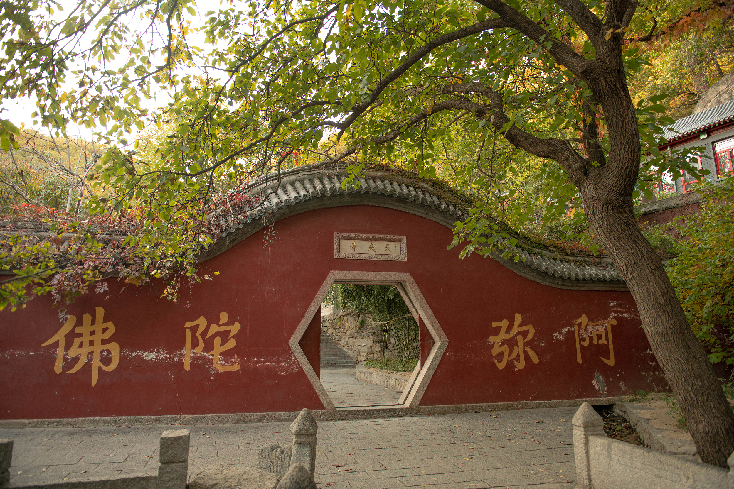 天成寺