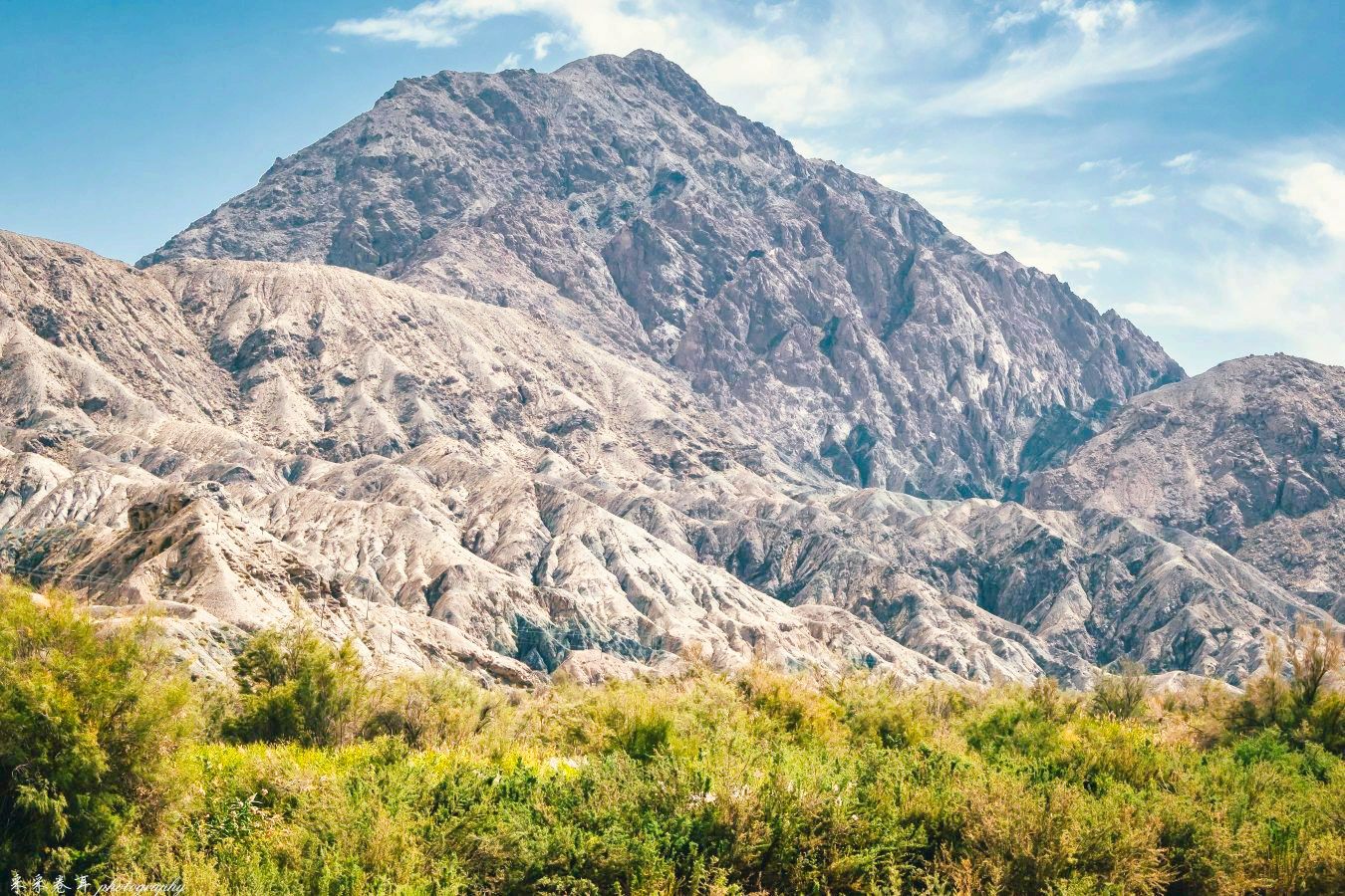 阿尔金山自然保护区