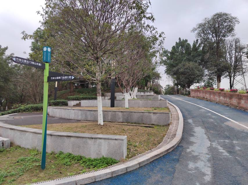 竹林公园