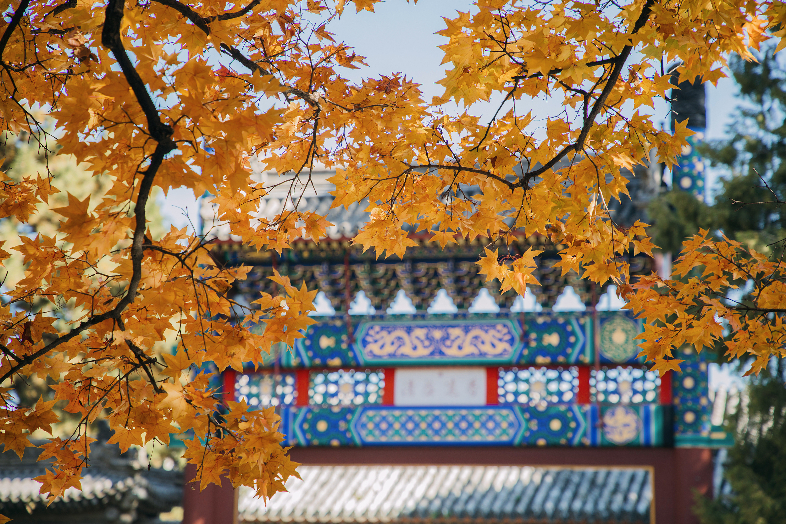 香山公园
