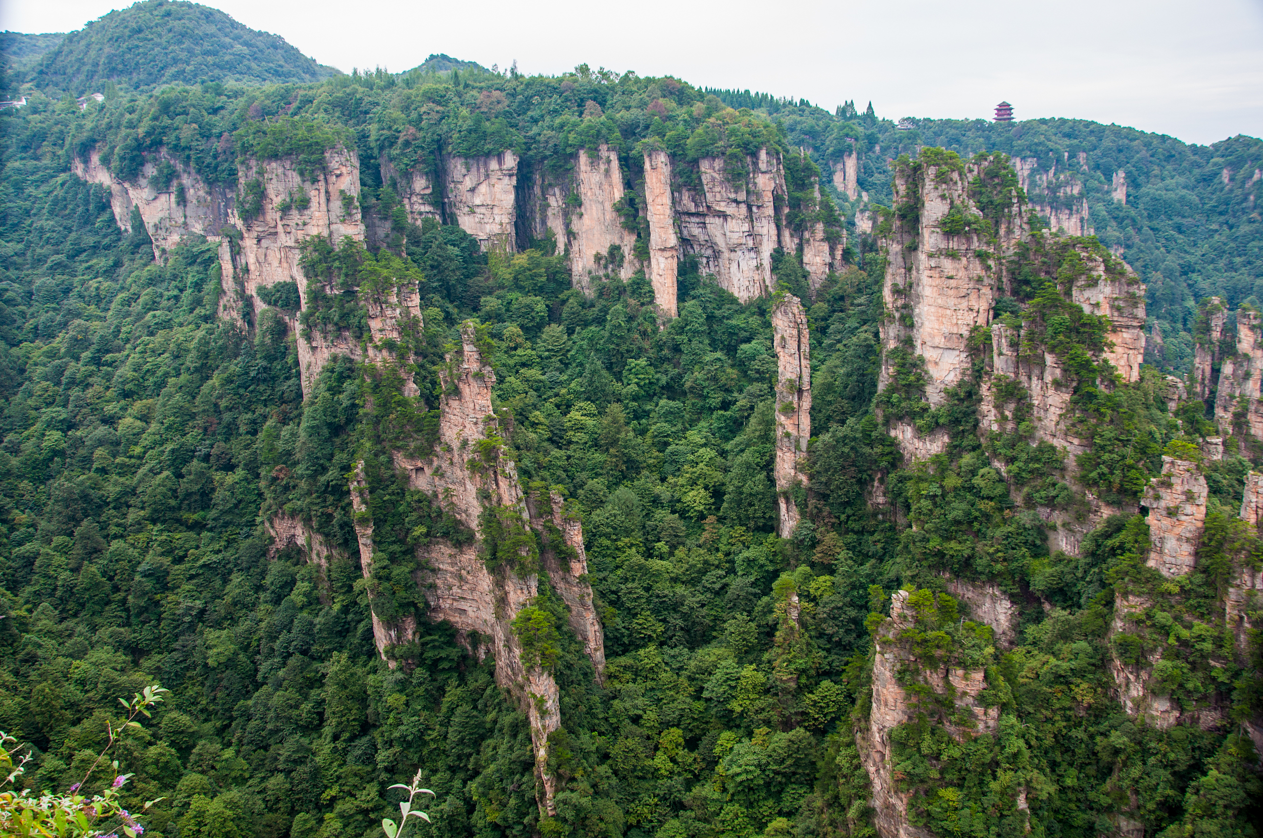 砂岩峰林地质公园