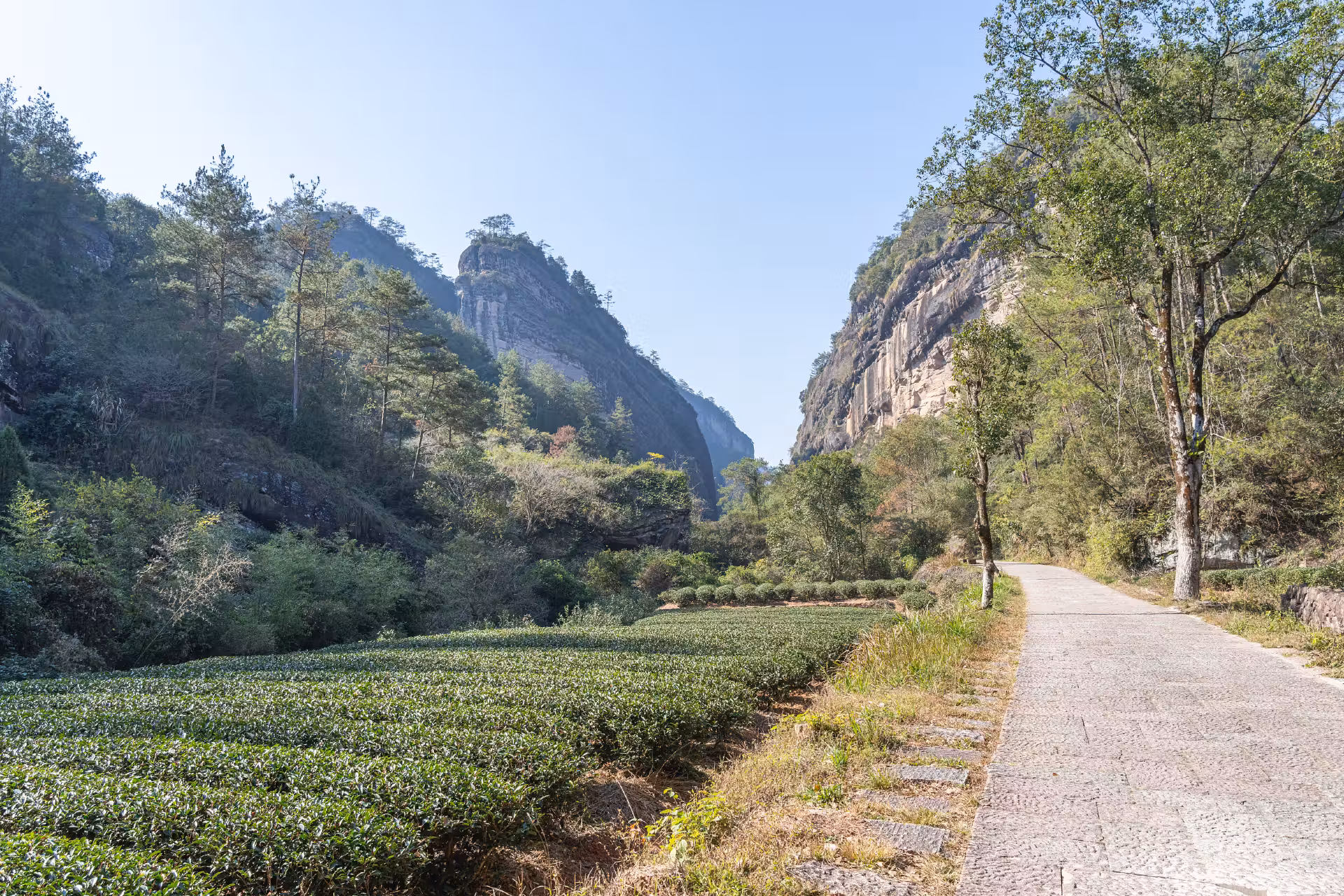岩骨花香漫游道