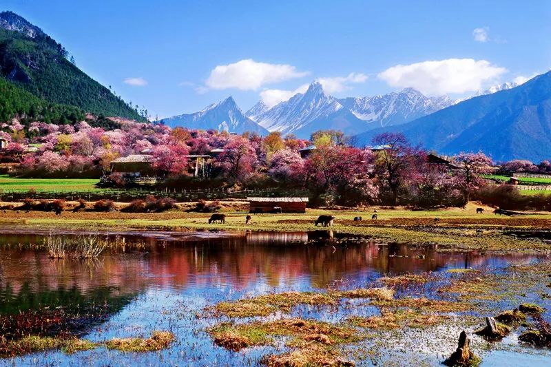 大渡卡遗址