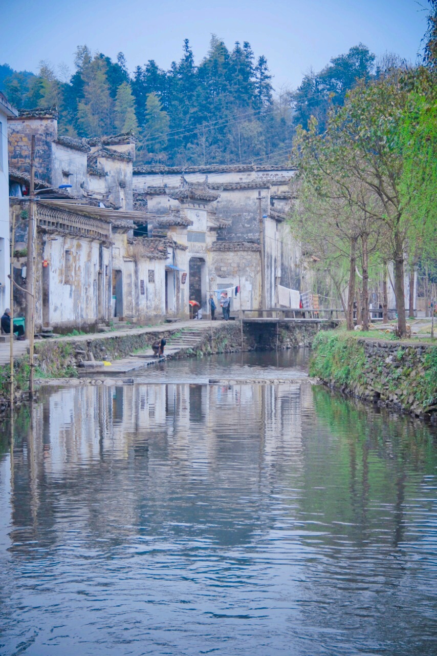 洪村